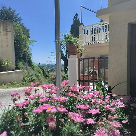 Apartment La Casa In Collina